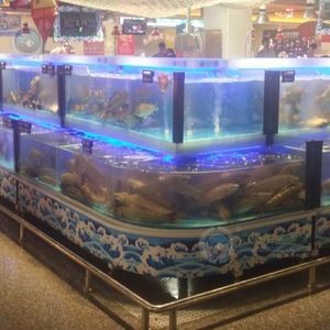 超市魚缸的魚該怎么養好呢：在超市魚缸養魚需要注意什么？魚缸養魚指南，注意事項與養護技巧