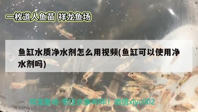 魚缸水質(zhì)凈水劑怎么用視頻(魚缸可以使用凈水劑嗎)水質(zhì)凈化指南，視頻教程詳解凈水劑