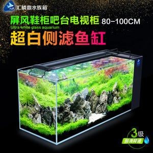 側(cè)濾魚缸改沼澤過濾怎么改：側(cè)濾魚缸改沼澤過濾的兩種改造方法，濾魚缸改造成沼澤過濾系統(tǒng)，兩種