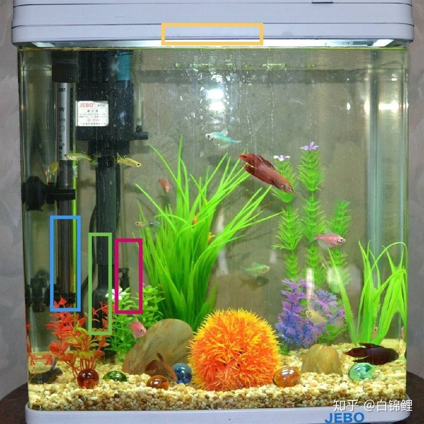 從哪里可以買到便宜的魚缸水：購買二手魚缸時，價格是一個重要的考慮因素以下是根據搜索結果，如何以實惠價格購買二手魚缸，節省成本