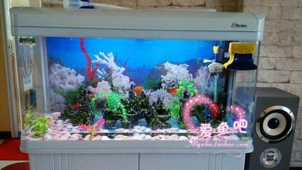 比森森好的魚缸品牌：森森魚缸怎么樣？比森森更出色的魚缸品牌，深度解析森森魚缸的優勢 比森森好的魚缸品牌：森森魚缸怎么樣？比森森更出色的魚缸品牌，深度解析森森魚缸的優勢 魚缸百科 第4張