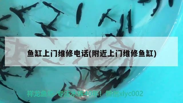 魚缸上門維修電話(附近上門維修魚缸)維修服務，快速上門，專業修復您的