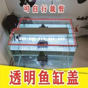 成品魚缸蓋子怎么拆下來：如何拆卸成品魚缸蓋子，輕松拆卸成品魚缸蓋子，詳細步驟與