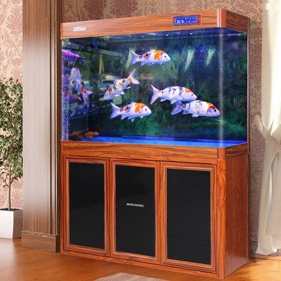 大型魚缸品牌排行榜前十名：2024年大型魚缸品牌排行榜前十名，024年大型魚缸品牌排行榜，