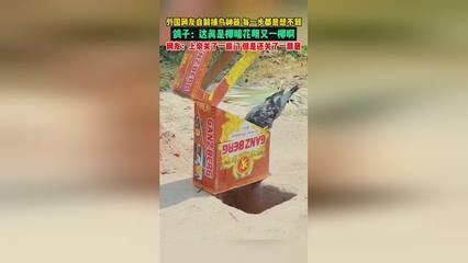 錦江區心誠園藝場（錦江區心誠園藝場地址）江區心誠園藝場，位于市中心的綠色心臟，提供