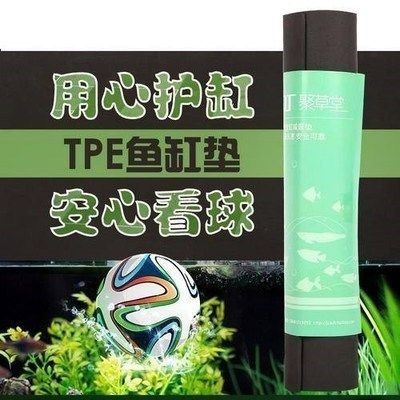 超白小魚缸墊用什么顏色好呢：超白小魚缸墊使用什么顏色好，白小魚缸墊顏色選擇指南，打造