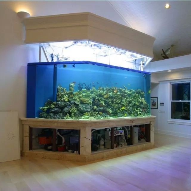把魚缸放在哪里最好：魚缸擺放與家居風水的關系，風水與魚缸擺放，揭秘最佳位置以