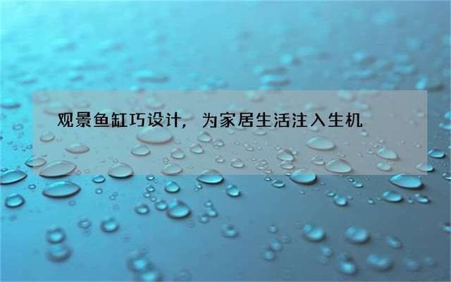 大慶市讓胡路區(qū)物美水族館（大慶有物美超市嗎）市讓胡路區(qū)物美水族館探秘，大慶有物美超市嗎？