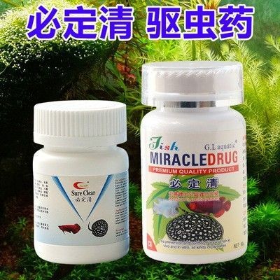 龍魚驅蟲怎么看效果，魚健康監測，如何有效識別驅蟲