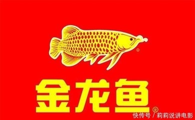 紅龍魚的品牌有哪些牌子呢（紅龍魚的品牌有哪些牌子呢圖片）紅龍魚市場，精選十大品牌介紹