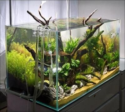 東明縣深深水族玻璃制品店（東明縣深深水族玻璃制品店地址）明縣深水族玻璃制品店詳