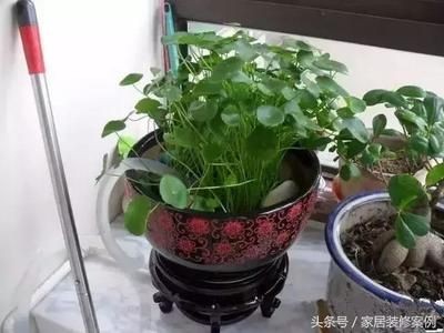 大魚缸過濾棉：關于大魚缸過濾棉的一些推薦和使用指南，魚缸過濾棉選擇與使用指南，提升水質，優化養魚