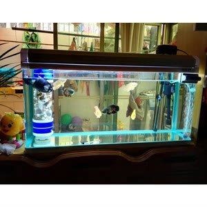 博宇魚(yú)缸安裝視頻：博宇魚(yú)缸安裝視頻安裝教程，宇魚(yú)缸安裝教程，專(zhuān)業(yè)指導(dǎo)，輕松打造完美水族箱