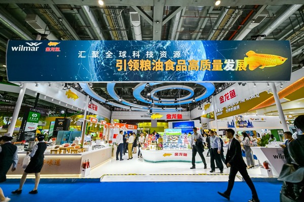 50公分的紅龍魚胡須斷了還能長嗎?（50公分的紅龍魚胡須斷了還能長嗎視頻）龍魚胡須斷裂后能否再生？專家解答50公分紅
