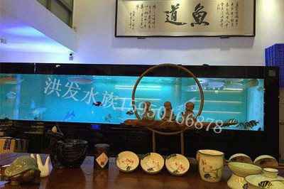 紅龍魚喂食視頻高清（紅龍魚喂食視頻高清版）龍魚喂食技巧，