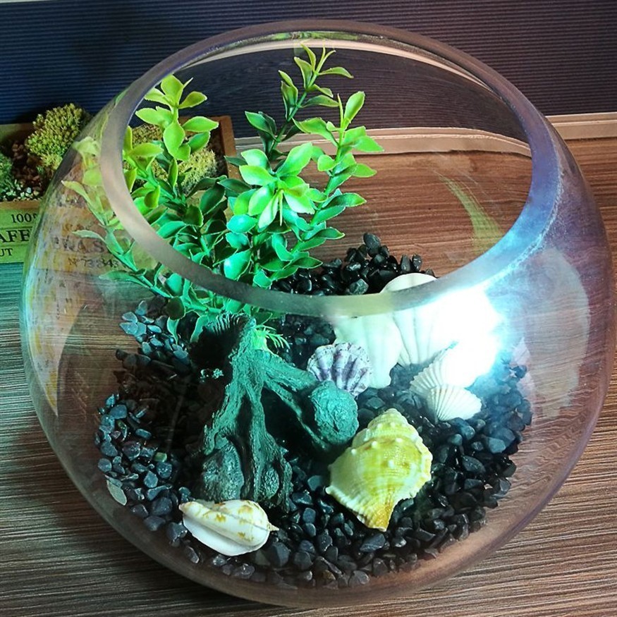 玻璃圓魚缸造景效果圖：玻璃圓魚缸造景效果圖玻璃圓魚缸造景技巧魚缸造景技巧，圓魚缸造景技巧，打造自然生態