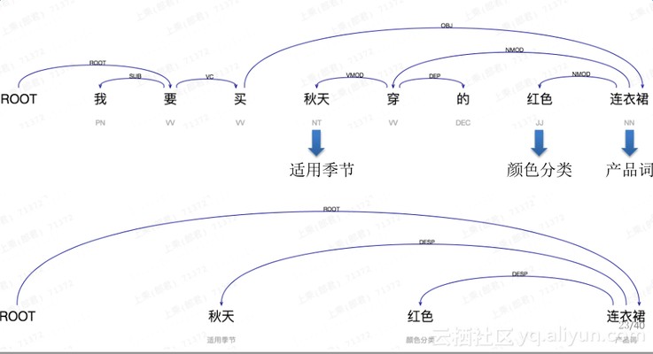 紅龍魚幼苗怎么挑選（紅龍魚幼苗怎么挑選好的）龍魚幼苗挑選指南，確保您