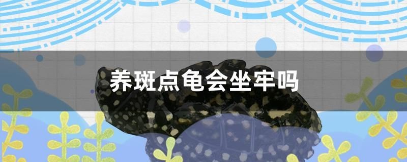 養斑點龜會坐牢嗎，斑點龜是否構成犯罪，法律解讀與