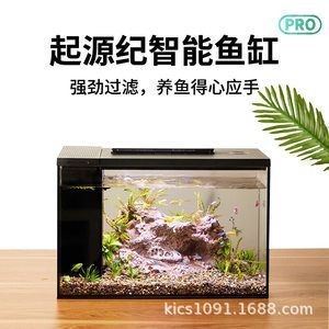 超白魚缸養什么魚最好，白魚缸養魚指南，最適合的魚類