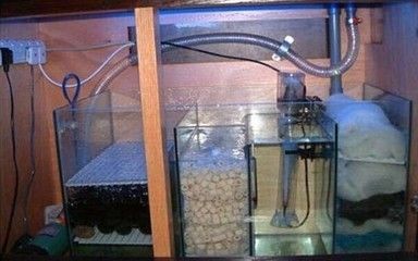 1.5米魚缸用什么過濾好：1.5米的魚缸用什么過濾好，5米魚缸最佳過濾系統選擇指南