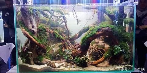 玻璃魚缸制作視頻：玻璃魚缸制作教程，魚缸制作教程，從零開始打造你的