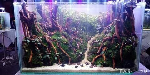 玻璃魚缸制作視頻：玻璃魚缸制作教程，魚缸制作教程，從零開始打造你的