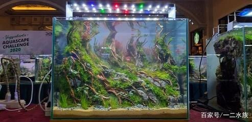 玻璃魚缸制作視頻：玻璃魚缸制作教程，魚缸制作教程，從零開始打造你的