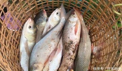 不能送魚(yú)缸什么意思呢：風(fēng)水魚(yú)缸送人的注意事項(xiàng)破損的魚(yú)缸不宜送人，否則會(huì)影響財(cái)運(yùn)，禁忌，送魚(yú)缸時(shí)需注意的事項(xiàng)，破損魚(yú)缸不宜贈(zèng)