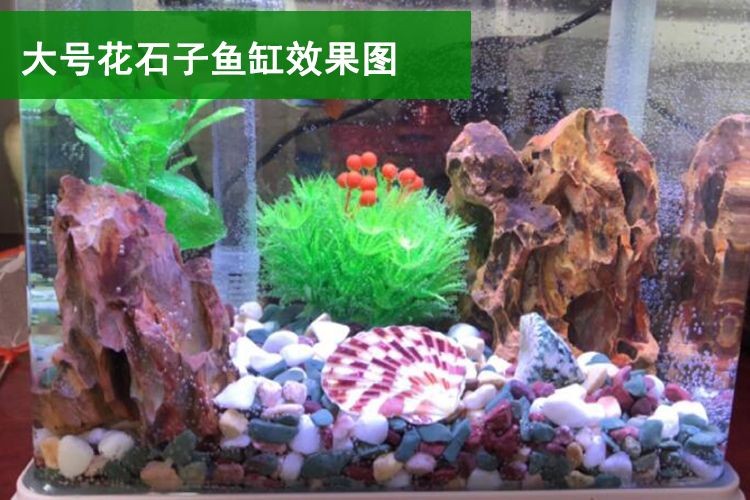 慈鯛魚缸造景方法：慈鯛魚缸怎么造景，鯛魚造景技巧，打造完美慈
