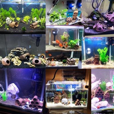 慈鯛魚缸造景方法：慈鯛魚缸怎么造景，鯛魚造景技巧，打造完美慈