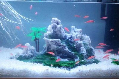 大大的魚缸里有幾條金魚在游動把畫面寫具體：金魚們在魚缸里自由自由自在地游動，魚在自由游動的魚缸中，生動描繪金魚自在