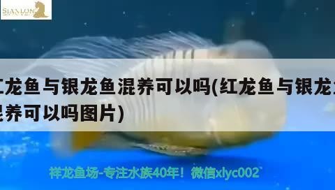 有哪些藥物可以治療浮頭，“浮游性水腫”是一種常見的癥狀