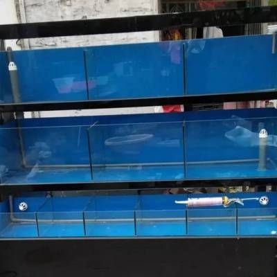 成品魚缸包邊怎么拆視頻：成品魚缸包邊拆卸方法，如何輕松拆卸成品魚缸的包邊？視頻教程來了！