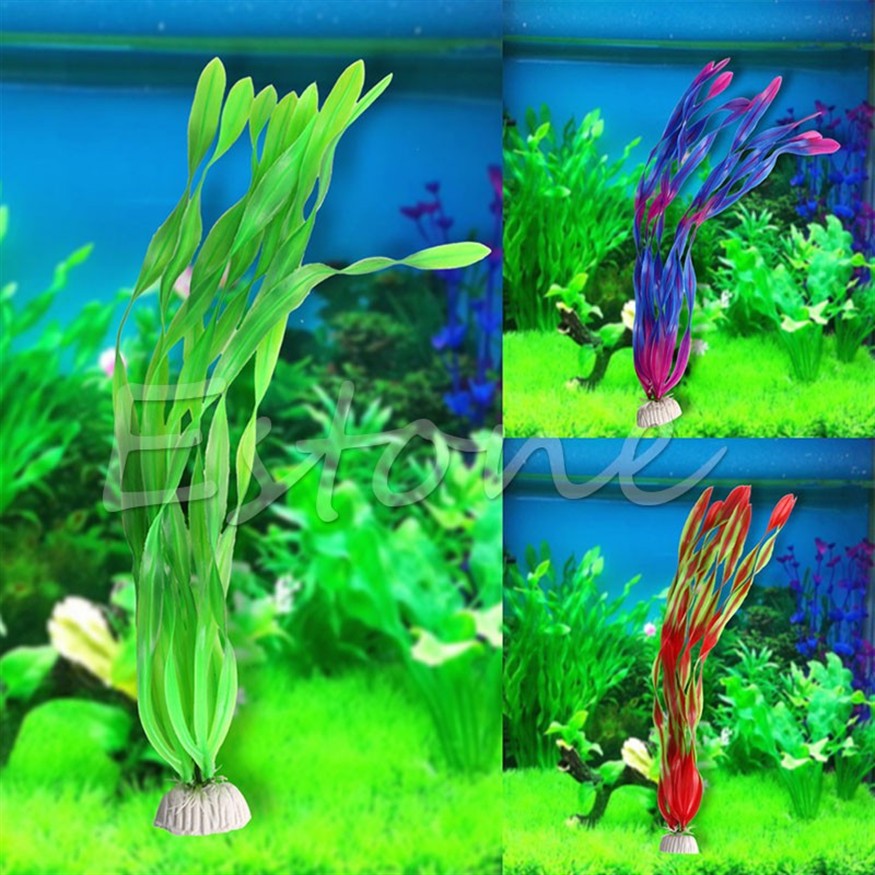 紅龍魚發色燈24小時開好嗎視頻（紅龍魚發色燈24小時開好嗎視頻講解）龍魚發色燈24小時開啟指南，專家視頻講解