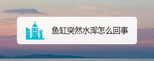 昆山市開發區龍飛鳳舞水族館（昆山市開發區龍飛鳳舞水族館地址）市開發區龍飛鳳舞水族館，探索自然奧秘的