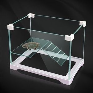 白水晶可以放魚缸嗎：白水晶可以放入魚缸中嗎？水晶在魚缸中的擺放，探索水晶與水族箱的和諧