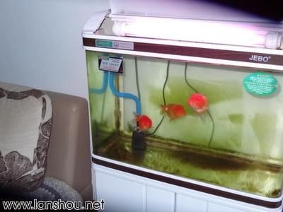 成品魚缸改裝方案圖，魚缸改裝，一站式解決方案