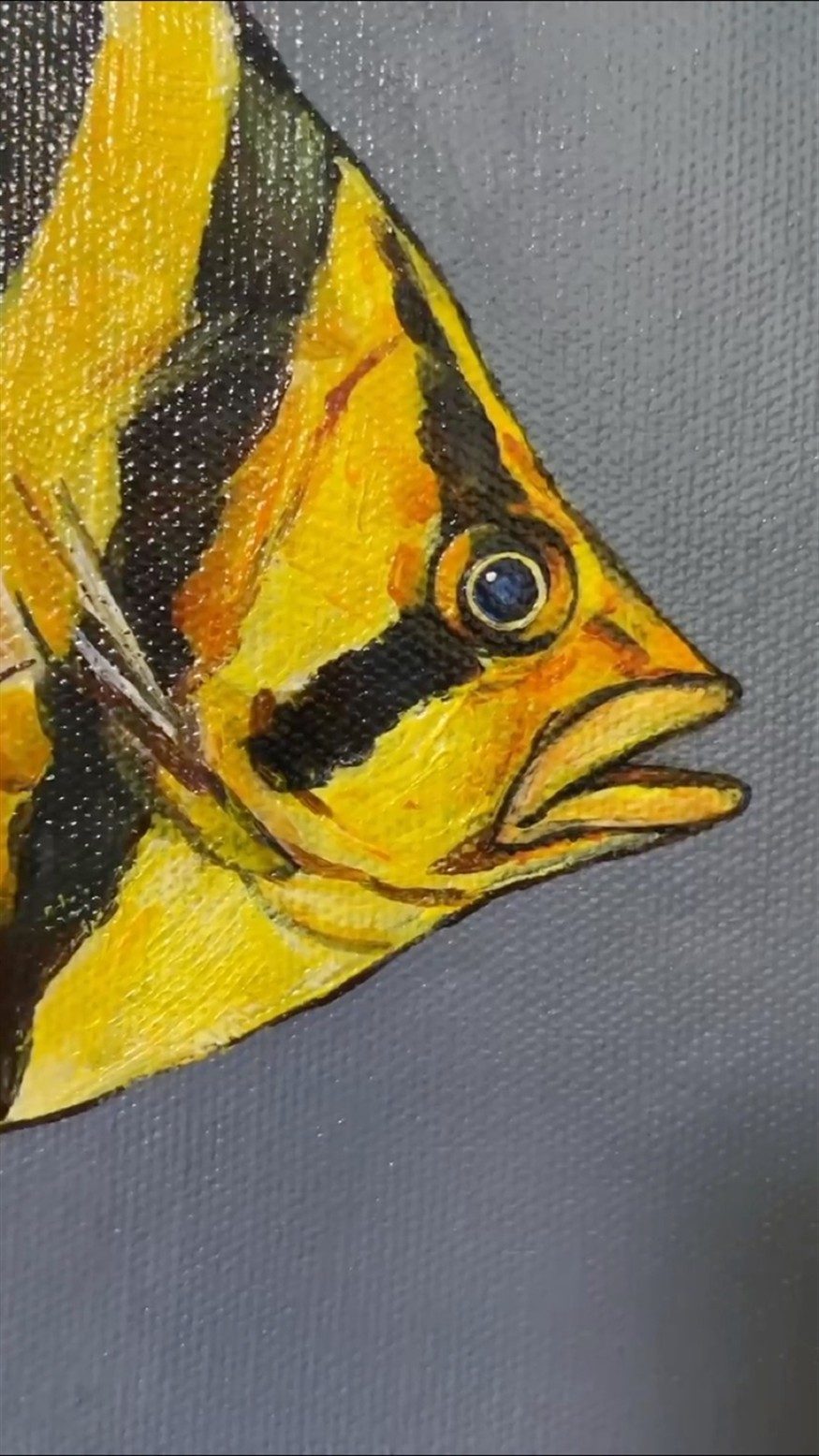 龍魚畫多了來幾幅小泰虎魚調整一下泰，魚畫藝，小泰虎魚的加入，為畫面帶來