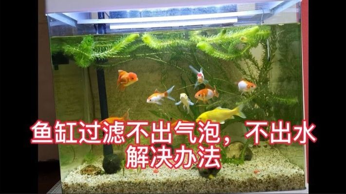 禹城市愛生活水族館（禹城市愛生活水族館電話）城市愛生活水族館，探索海洋