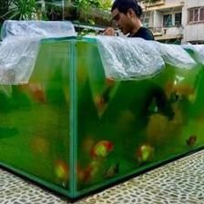 大魚缸養(yǎng)魚需要什么配件呢：大魚缸養(yǎng)魚所需的輔助工具，魚缸養(yǎng)魚必備配件清單，打造完美水族箱的輔助