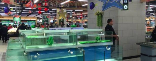 超市賣淡水魚專用魚缸多少錢一個：超市淡水魚專用魚缸價格，淡水魚專用魚缸價格一覽，選購指南