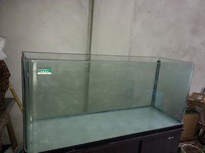 大蘇打魚缸放多少水最好養：養魚時魚缸里的水放多少最為適宜，蘇打魚缸養魚水量指南，最佳水位設置與養魚