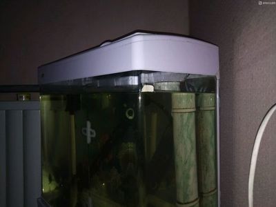 大蘇打魚缸放多少水最好養：養魚時魚缸里的水放多少最為適宜，蘇打魚缸養魚水量指南，最佳水位設置與養魚