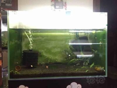 伍家崗區龍發水族館（伍家崗區龍發水族館地址）家崗區龍發水族館，探索海洋奧秘的絕