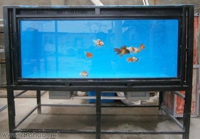 大魚缸改造：大魚缸怎么改造？魚缸改造指南，打造多功能水族箱