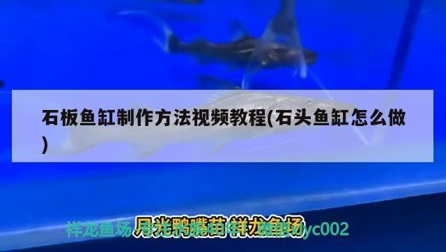 石板魚缸制作方法視頻教程(石頭魚缸怎么做)石板魚缸制作，從零開始的DIY