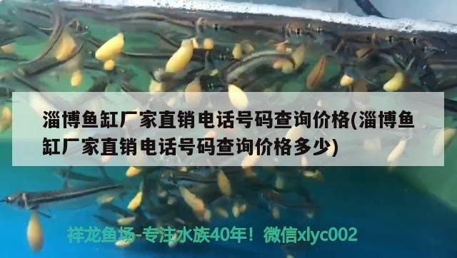 淄博魚缸廠家直銷電話號碼查詢價格(淄博魚缸廠家直銷電話號碼查詢價格多少)魚缸廠家直銷電話及
