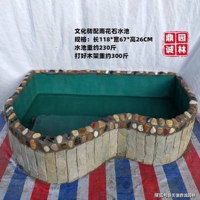 紅龍魚眼睛往里凹怎么辦啊視頻（紅龍魚眼睛往里凹怎么辦啊視頻講解）龍魚眼睛凹陷問題