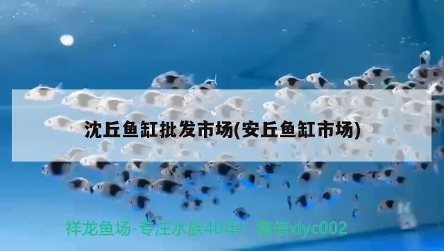 沈丘魚缸批發(fā)市場(chǎng)(<strong><mark>安丘</mark></strong>魚缸市場(chǎng))丘魚缸批發(fā)市場(chǎng)，<strong><mark>安丘</mark></strong>市場(chǎng)引領(lǐng)水