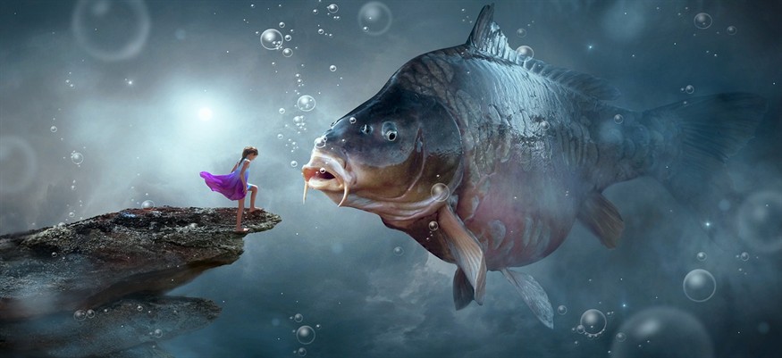 印尼虎魚和泰國(guó)虎魚哪個(gè)好的簡(jiǎn)單介紹，虎魚與泰國(guó)虎魚，比較分析哪個(gè)更適合您的水族